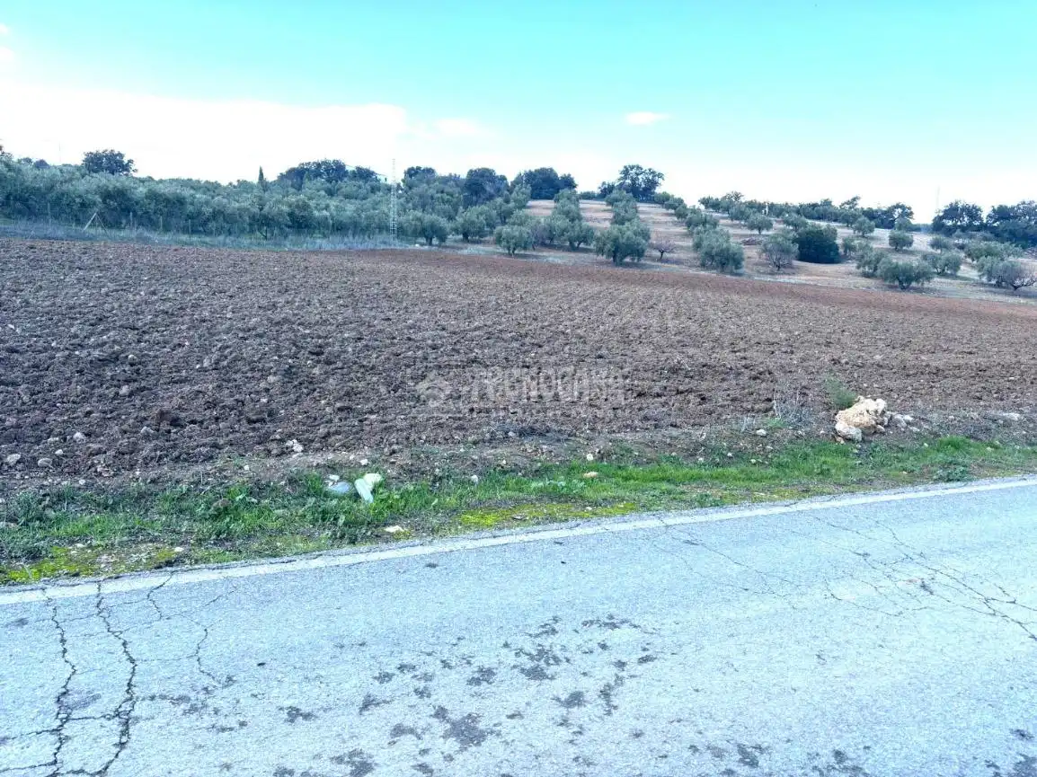 Terreni e lotti in vendita a Centro, imagen 25
