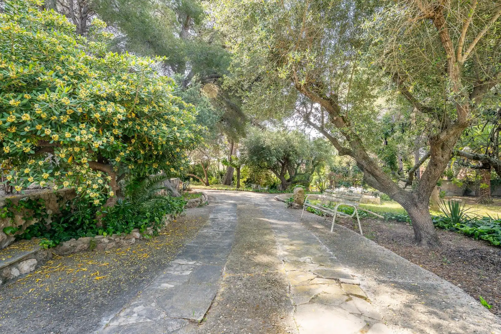 Villa avec piscine à vendre à MUNTANYA OLIVA-I, imagen 76