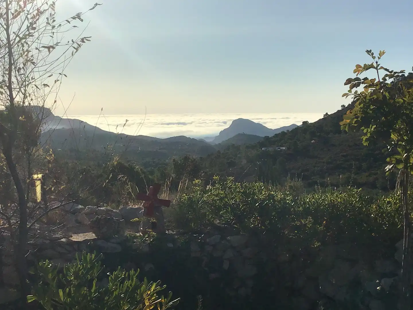 Terreno rustico in vendita a Carrer la Creu, imagen 40