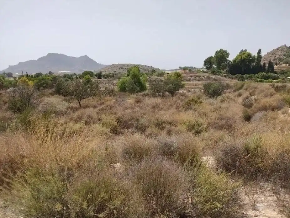 Residencial en venta en Verdegas , Agost