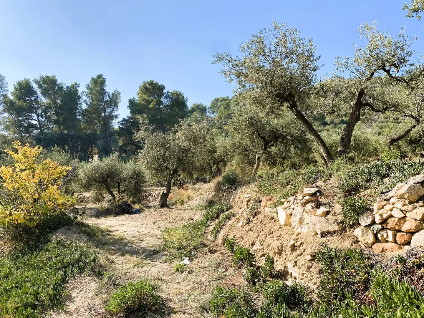 Casa rústica en venta en de les Valls, imagen 4