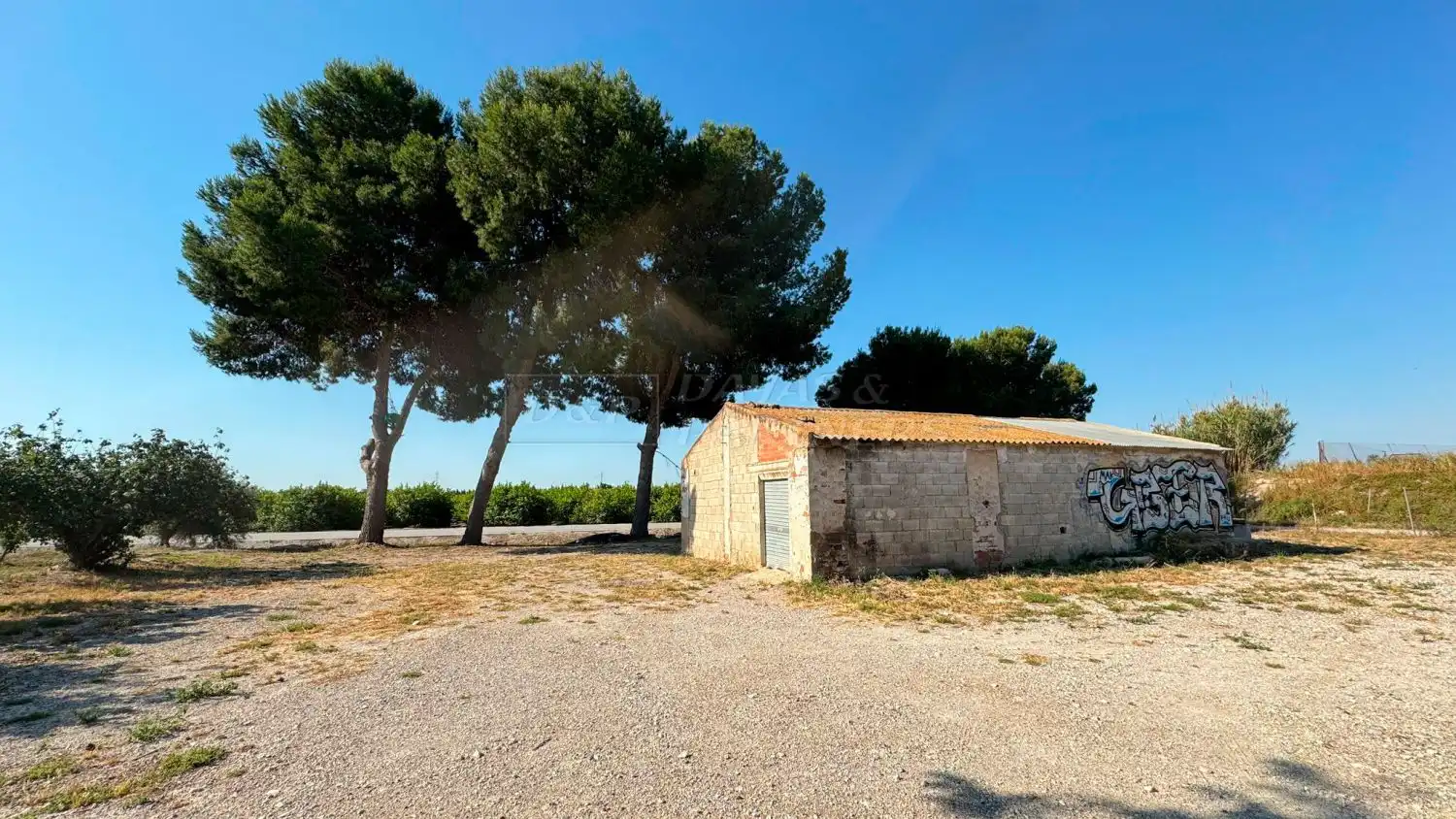 Vista exterior de Finca rústica en venda en Redován