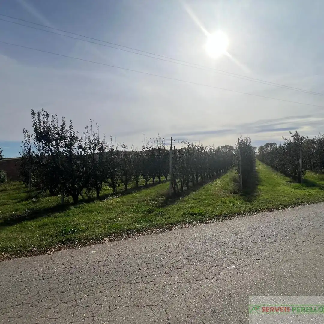 Terrenos y solares en venta en Golmés, imagen 9