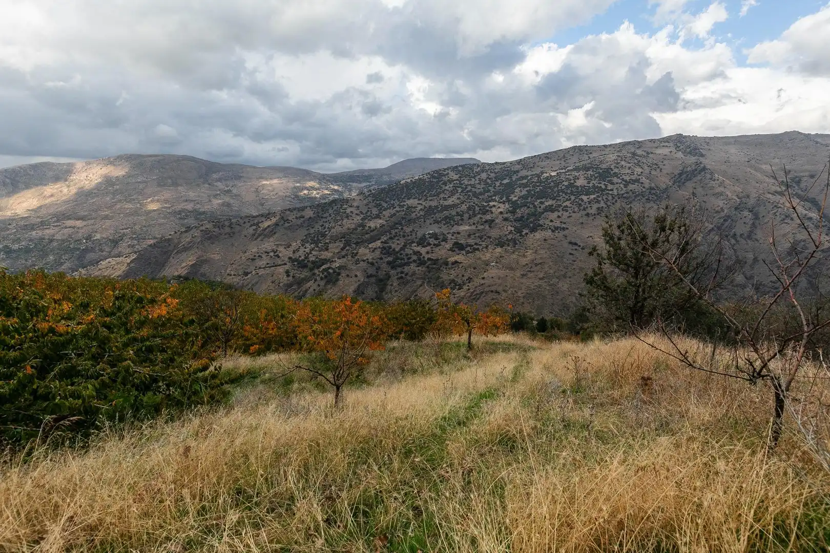 Lands and plots for sale in Güéjar Sierra, imagen 9