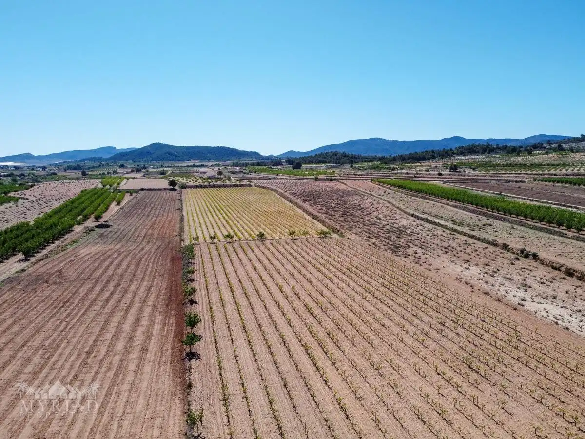 Terreno residencial en venta en El Pinós / Pinoso