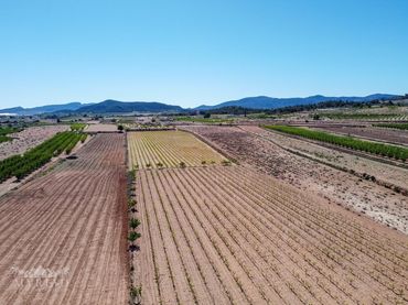 Wohnbaugrundstück zum Verkauf in El Pinós / Pinoso