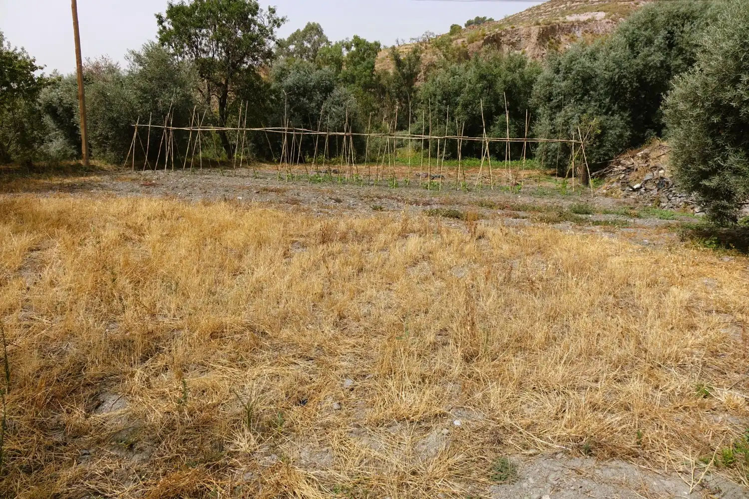 Finca rústica en venda en Órgiva