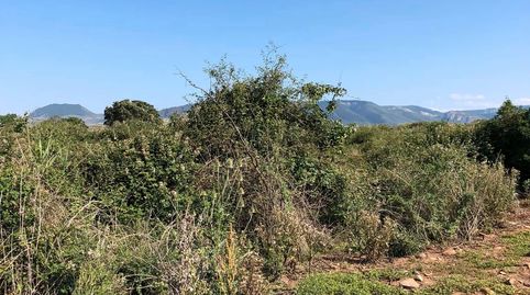 FINCA RÚSTICA - ENTRENA (), imatge 2