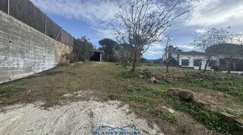 Photo 3 of Residential for sale in Avenida San Daniel, Mas Mora - Sant Daniel, Tordera