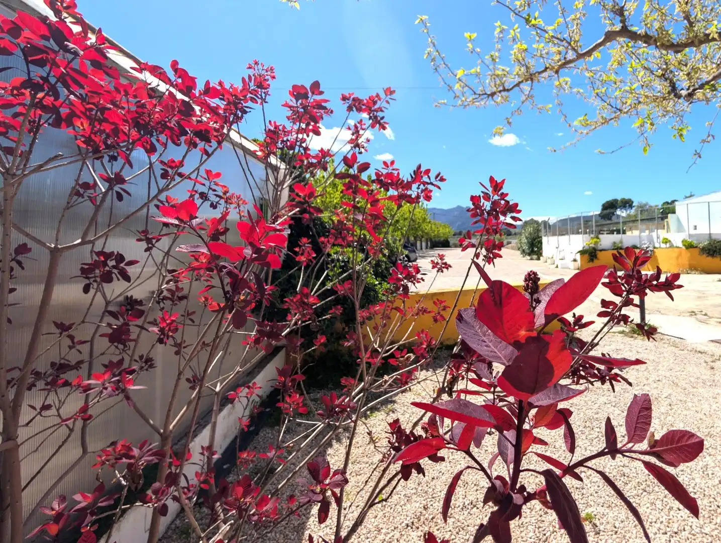 Exterior view of Houses for sale in  Madrid Capital