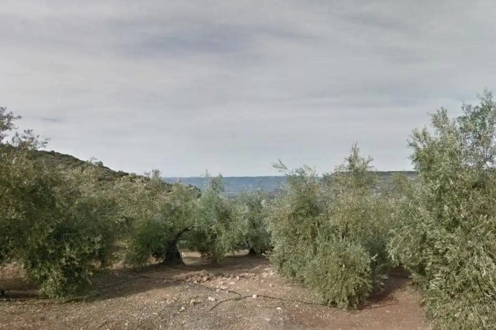 Lands and plots for sale in Pegalajar, imagen 3