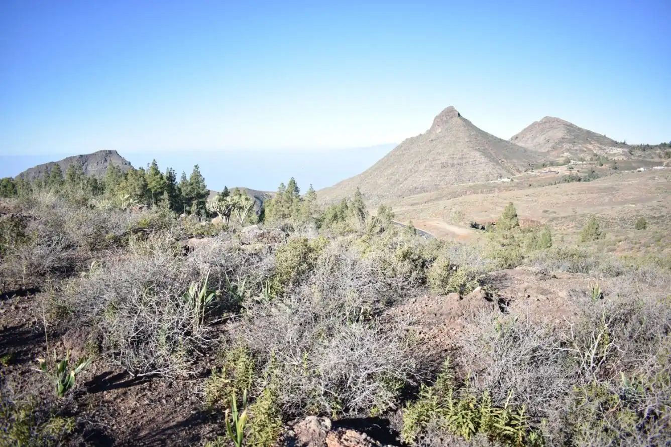 Terrenos y solares en venta en Vilaflor de Chasna, imagen 9