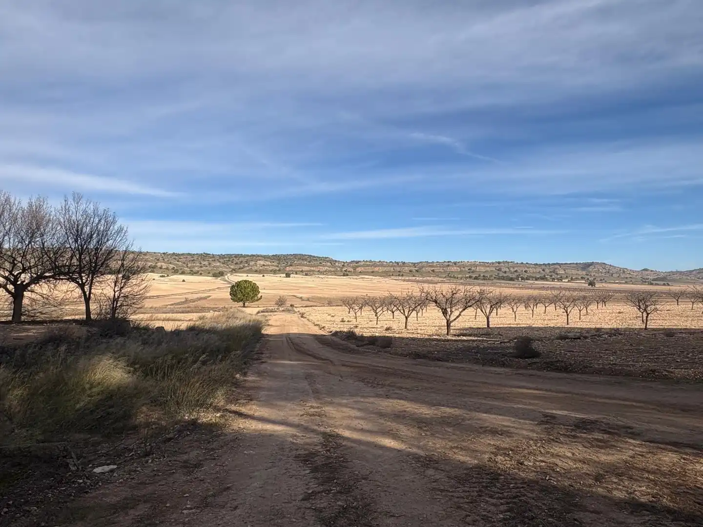 Finca rústica en venta en Ontur