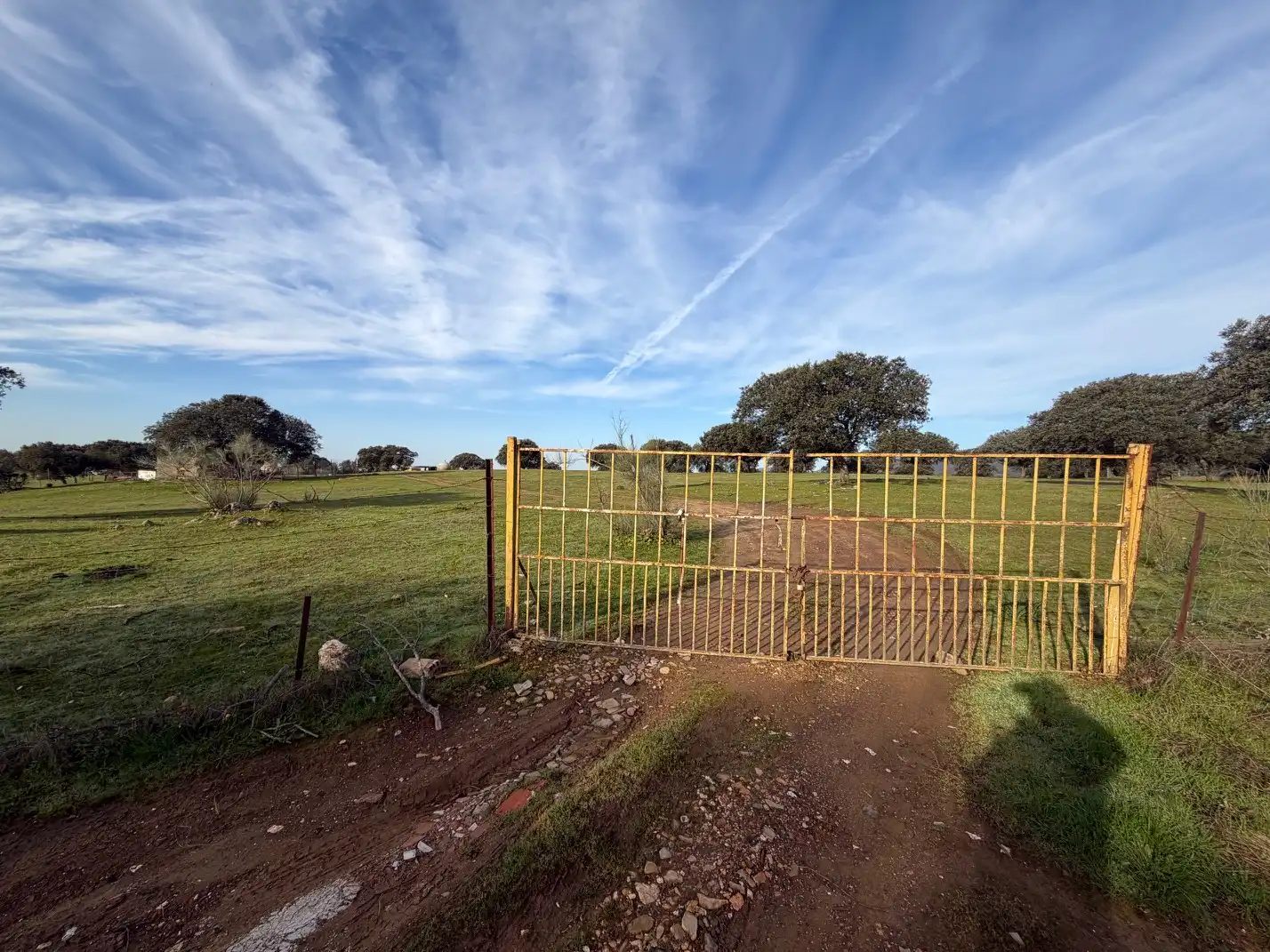 Land for sale in Serradilla