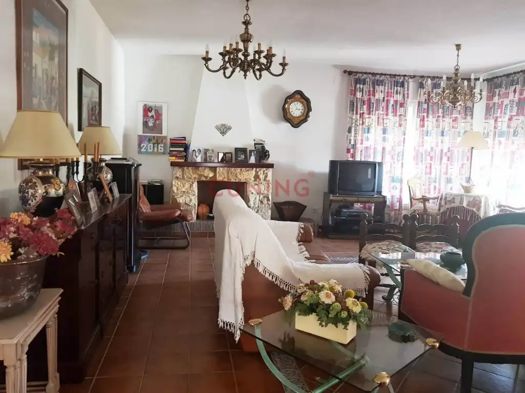 Sala de estar de Casa o chalet en venta en Nombela con Piscina