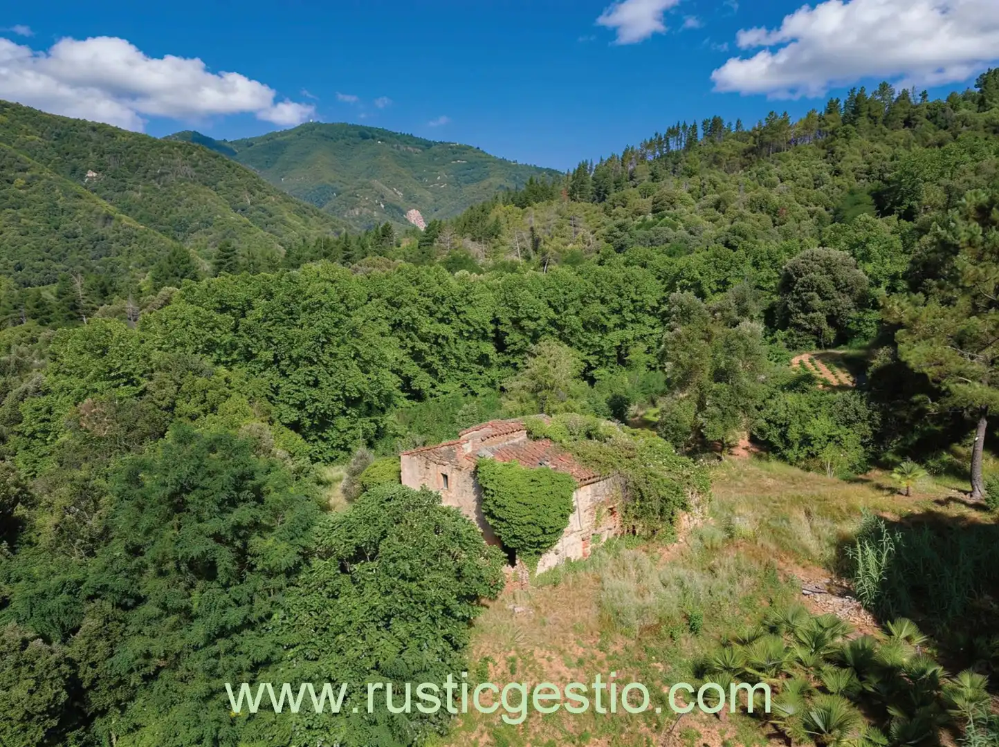 Jardín de Finca rústica en venta en Osor con Jardín privado
