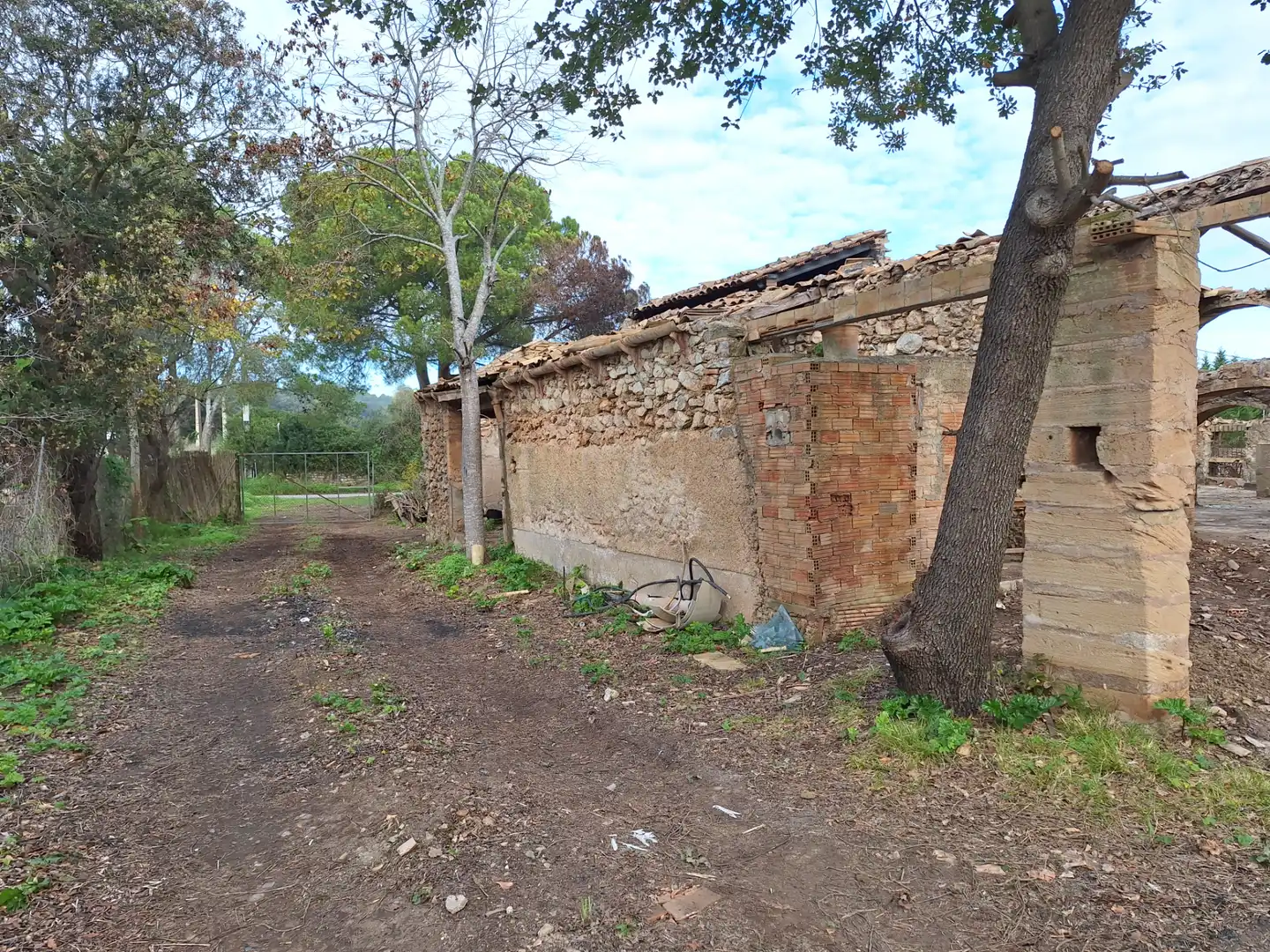 Terreny rústic en venda a Artà Poble, imagen 4