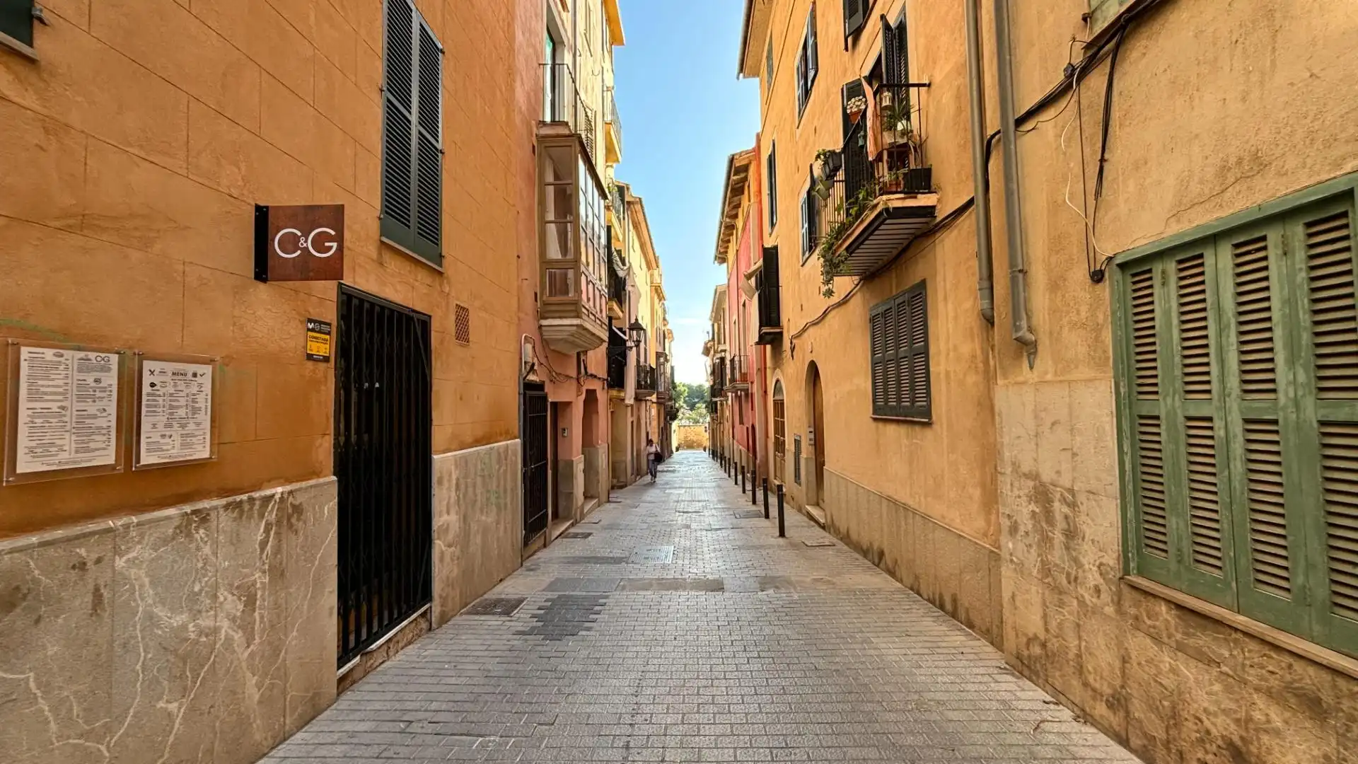 Vista exterior de Piso en venta en  Palma de Mallorca con Aire acondicionado, Parquet y Balcón