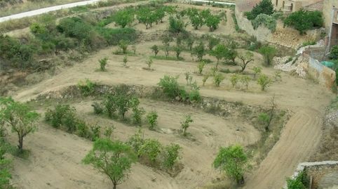 Foto 3 de Finca rústica en venda a Carrer Albi, 88, Cervià de Les Garrigues, Lleida