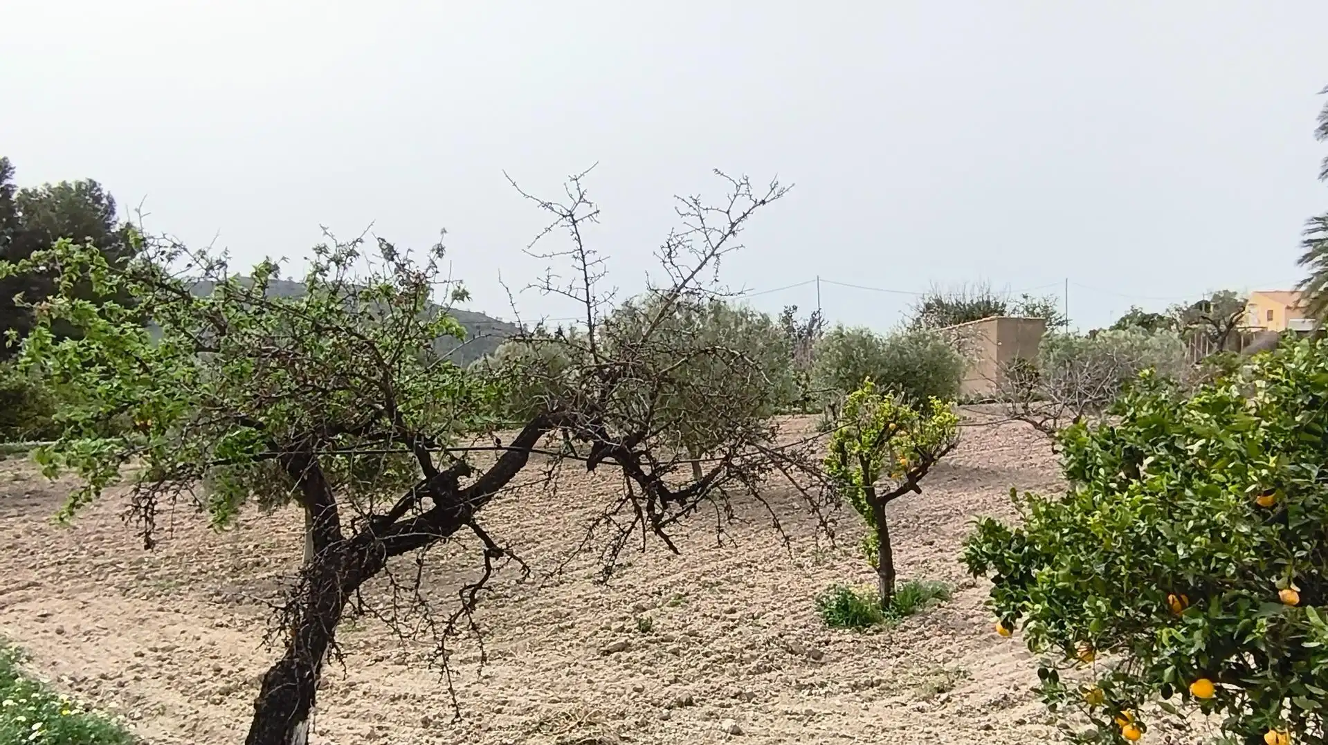Finca rústica en venta en Aigües con Jardín privado