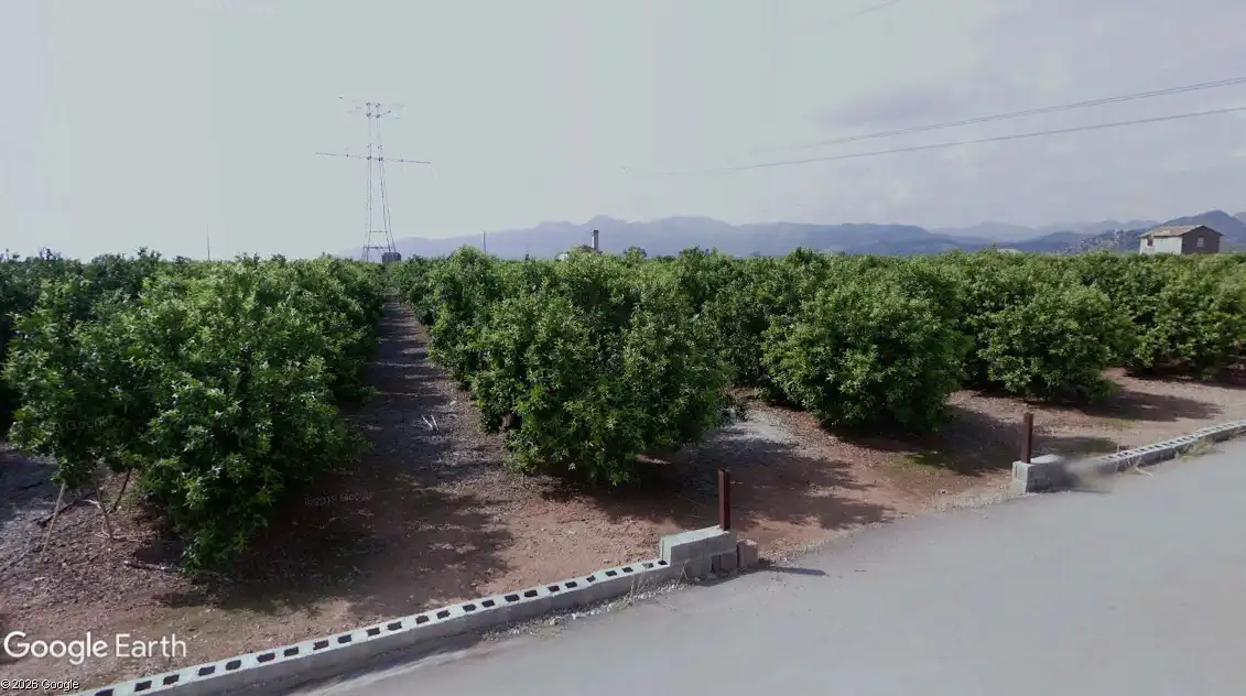 Terreno rustico in vendita a Avenida Alemania-Italia, imagen 6