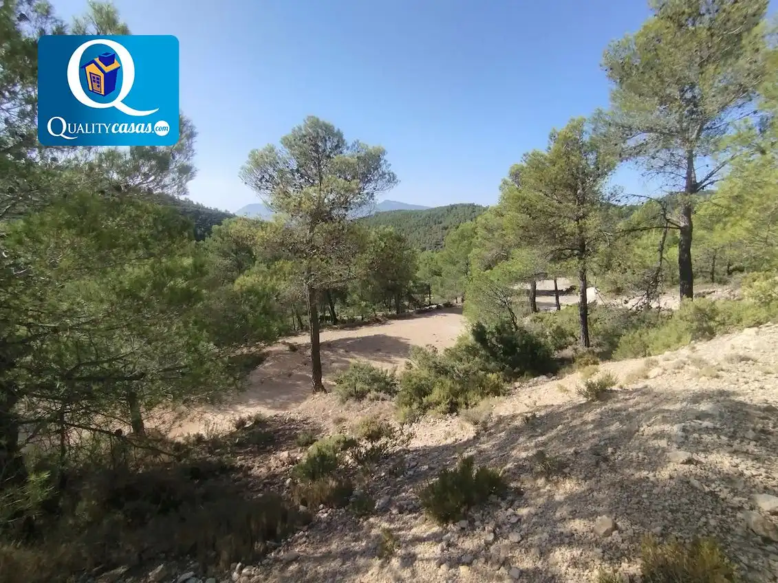 Terrenys i solars en venda a Onil, imagen 11