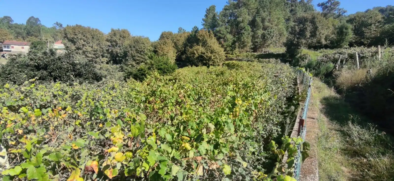 Casa o xalet en venda en Crecente amb Jardí privat i Moblat
