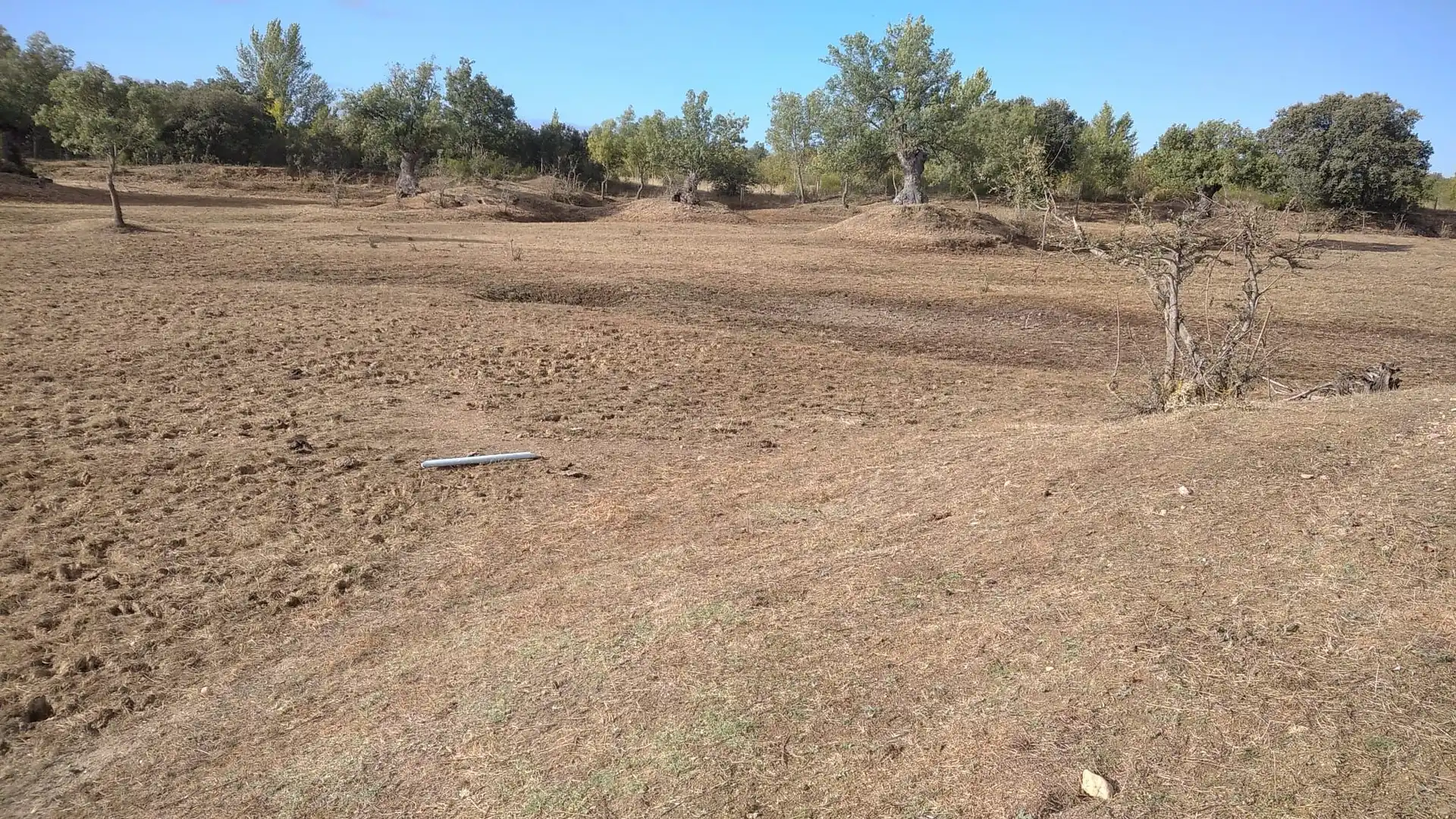 Rural land for sale in Topas, imagen 19