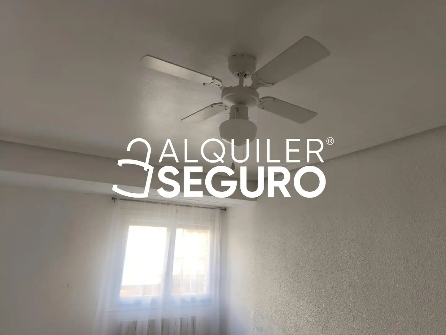 Pis de lloguer a Zaragoza, Zaragoza