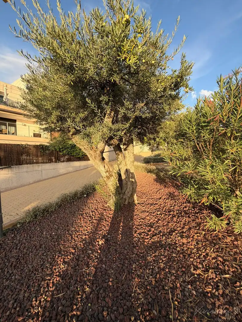 Ático con piscina en venta en SELECCION ESPAÑOLA DE FUTBOL 14 28660, Madrid, imagen 2