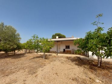Maison rustique à vendre à Roques Daurades - L'Estany