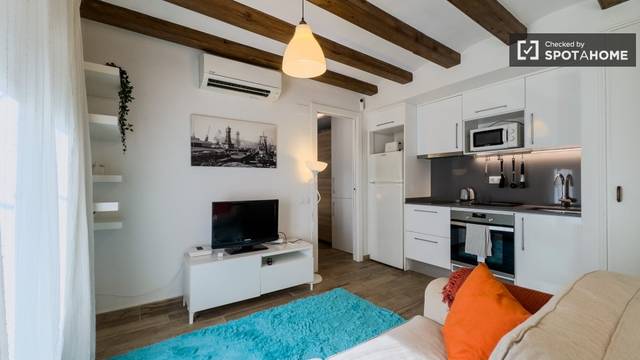 Piso en Alquiler en La Barceloneta