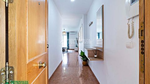 Photo 3 of Attic for sale in Ejido Norte, El Ejido
