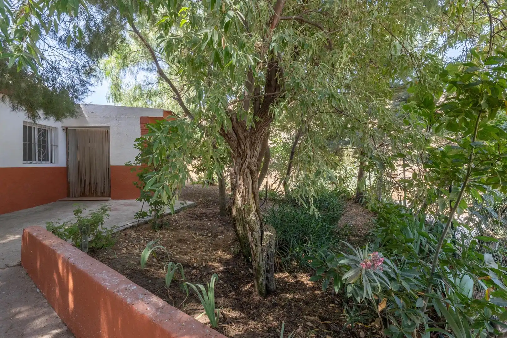 Garden of Country homes for sale in Caniles