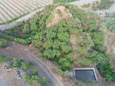 Terreno rustico in vendita a Vélez-Málaga ciudad