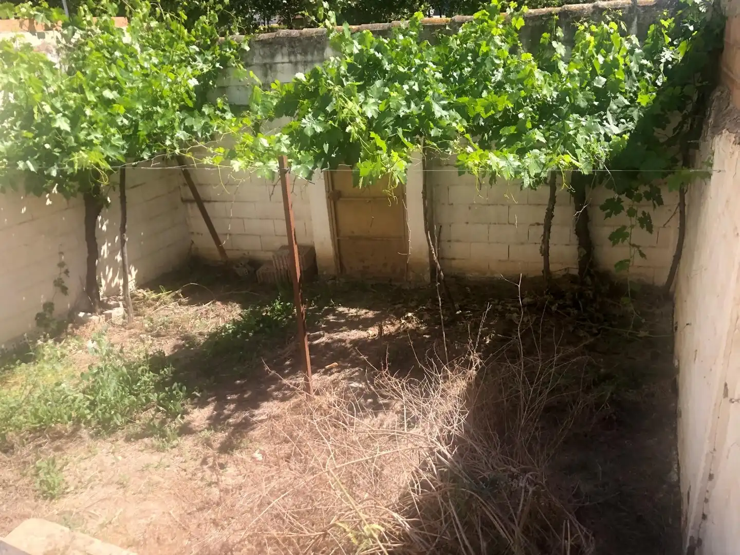 Detached homes for sale in Cuevas Bajas  with Private garden