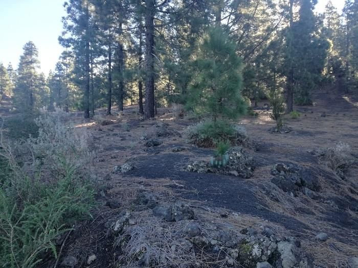 Land for sale in El Paso