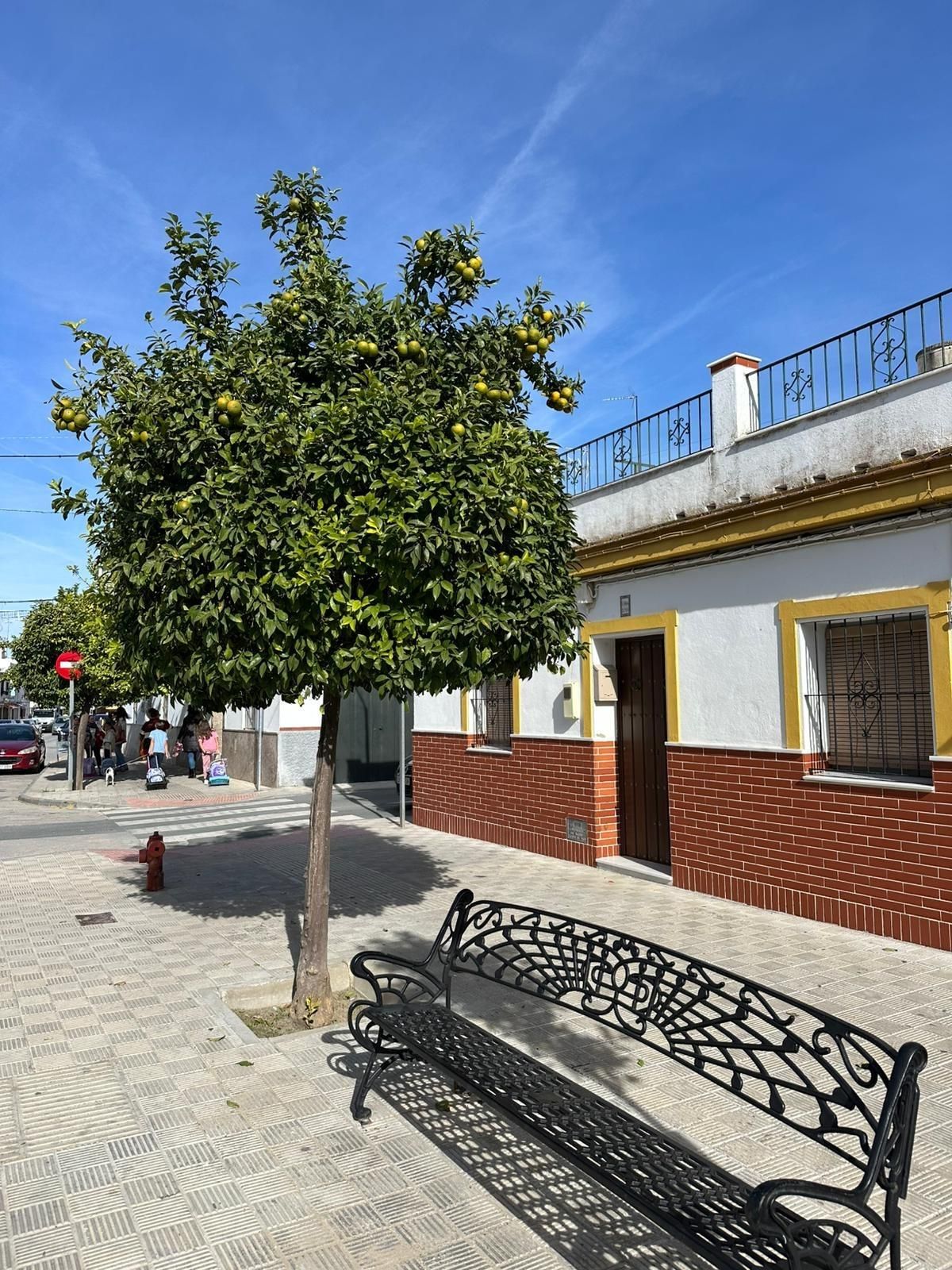 Exterior view of House or chalet for sale in Marchena