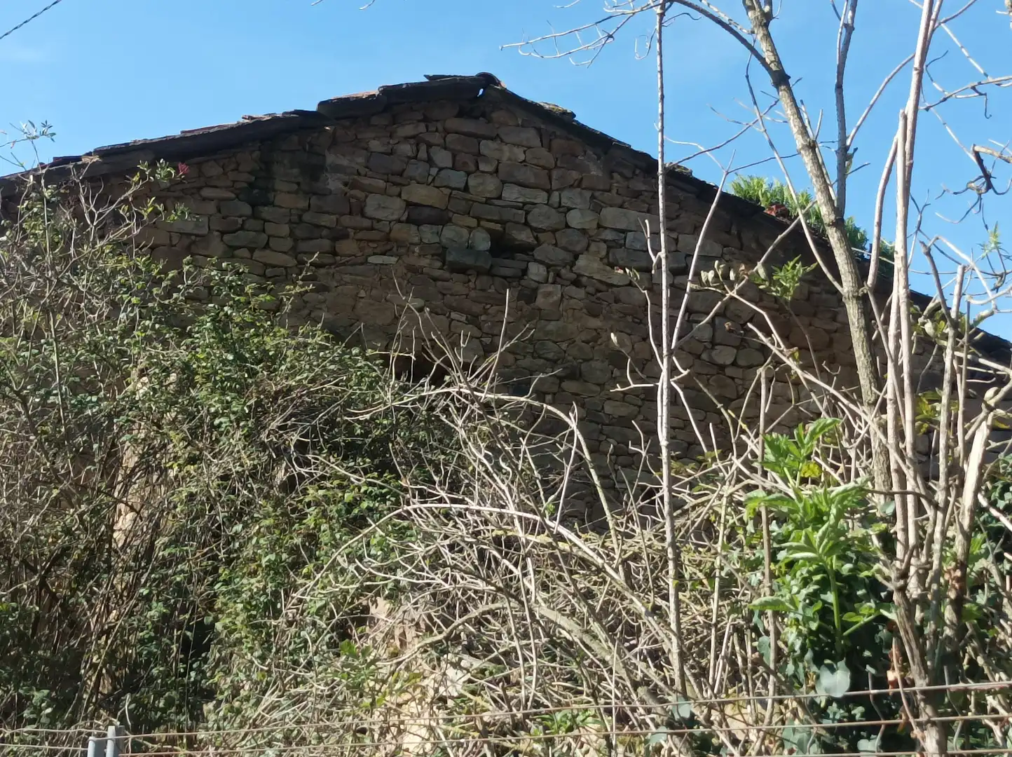 Vista exterior de Casa o chalet en venta en Arenas de Iguña con Jardín privado