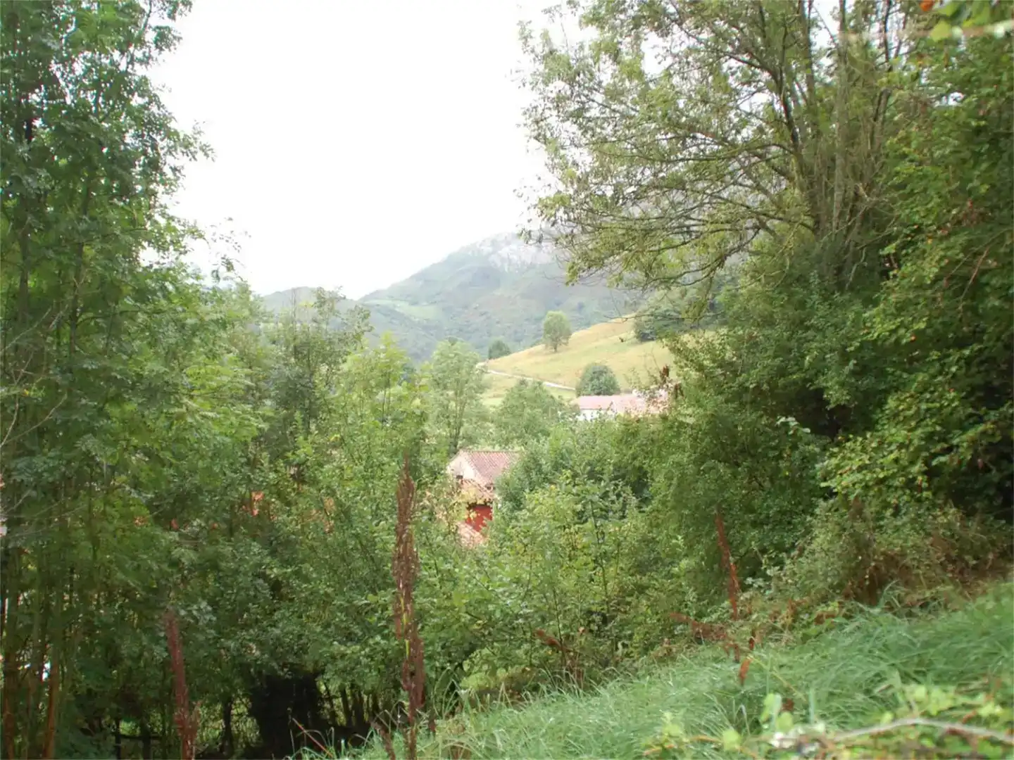Vista exterior de Finca rústica en venda en Cabrales