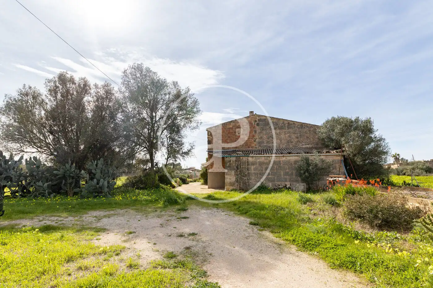 Vista exterior de Finca rústica en venta en Campos con Jardín privado y Trastero