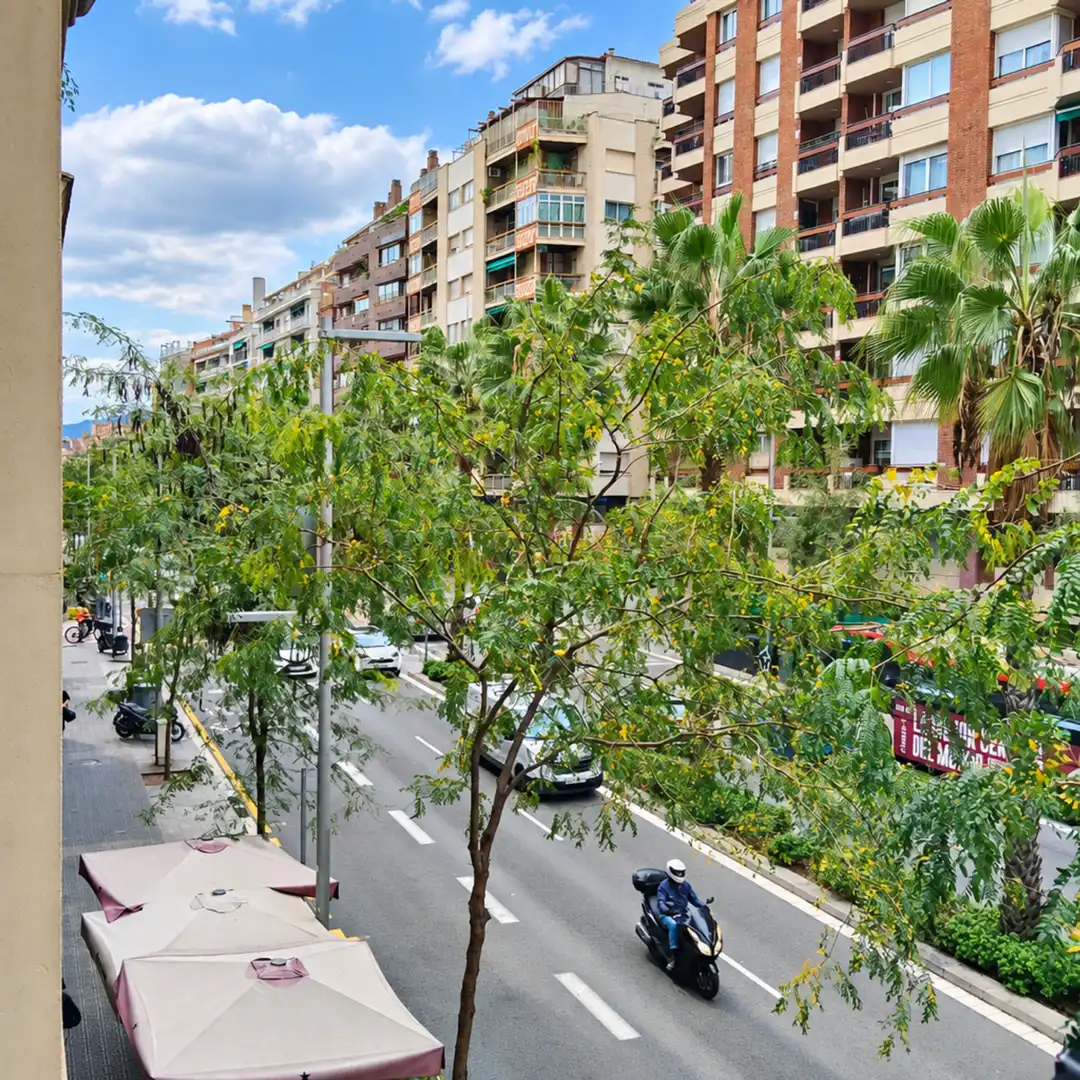 Pis en venda a Barcelona - CL TRAVESSERA DE DALT, imagen 44