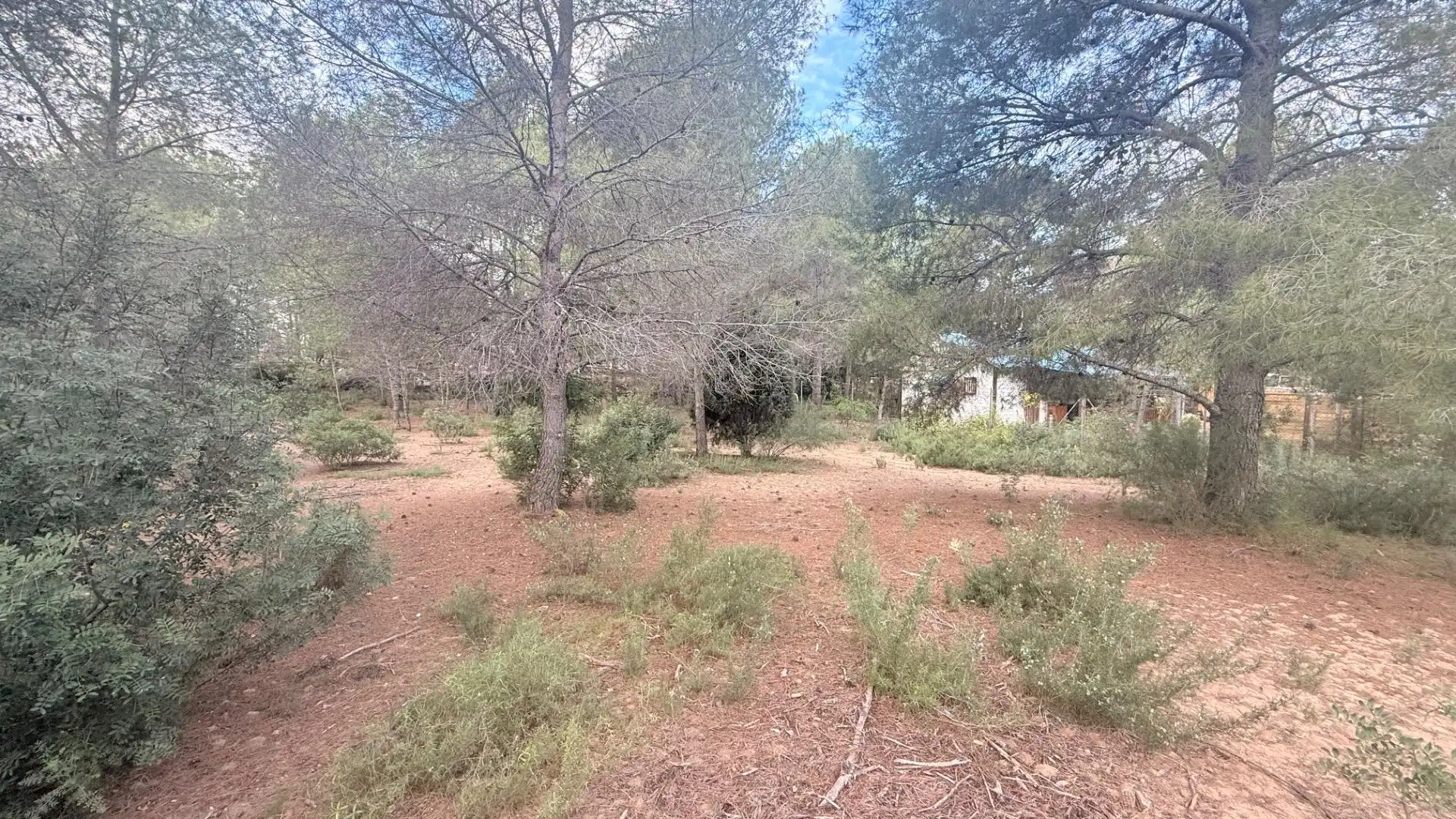 Terreny residencial en venda a Albalat dels Tarongers, imagen 8