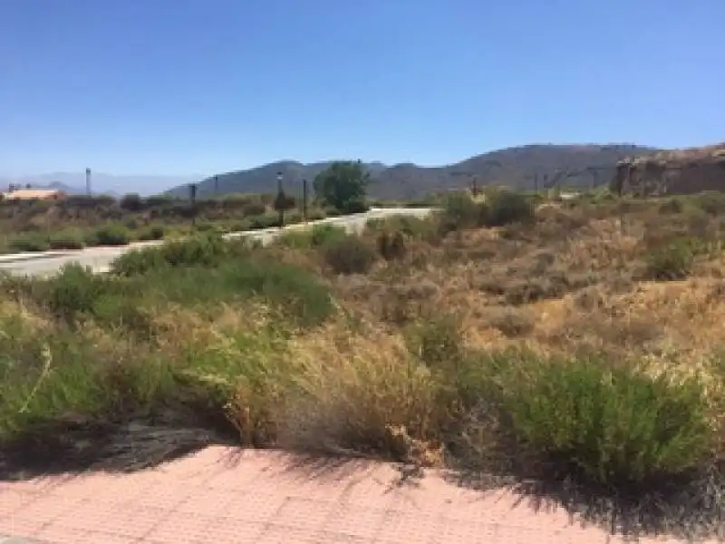 Terreno residencial en venta en Dílar, imagen 7