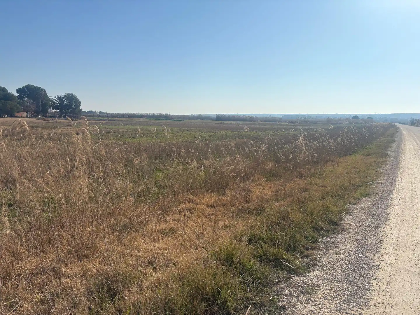Terrain rustique à vendre à La Foia - Daimés - Asprella, imagen 16