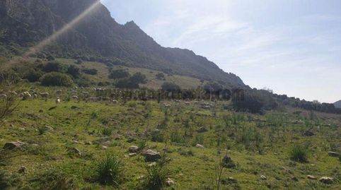 Foto 5 de Residencial en venda a Casares pueblo, Casares
