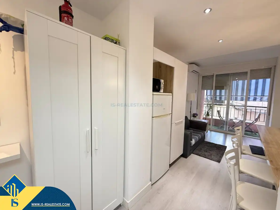 Estudio con piscina en venta en Centro, imagen 17