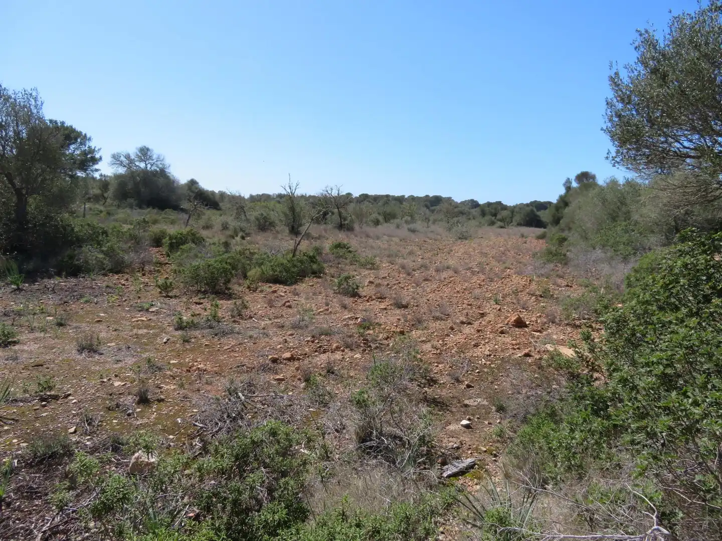 Maison rustique à vendre à Cala Pi - Vallgornera, imagen 6