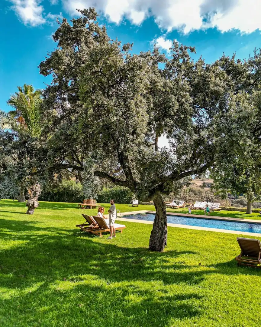 Maison rustique avec terrasse à vendre à Partidas Norte, imagen 19