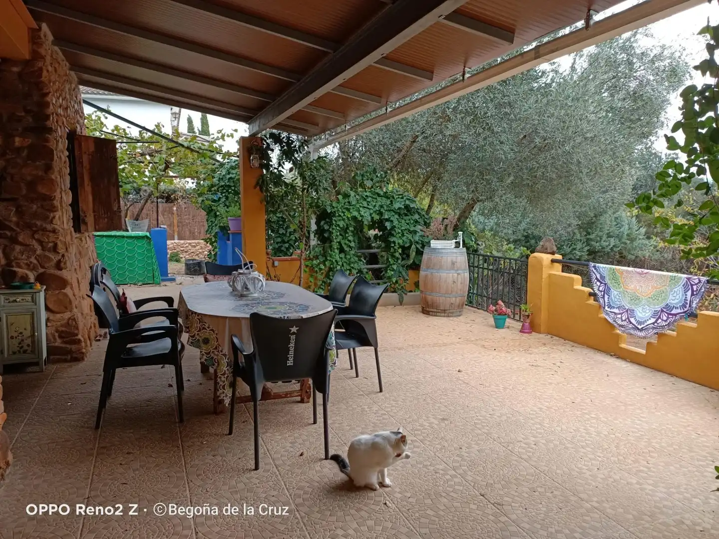Terrassa de Casa o xalet en venda en Piedrabuena amb Aire condicionat, Calefacció i Jardí privat